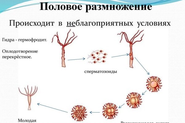 Как зайти на kraken маркетплейс