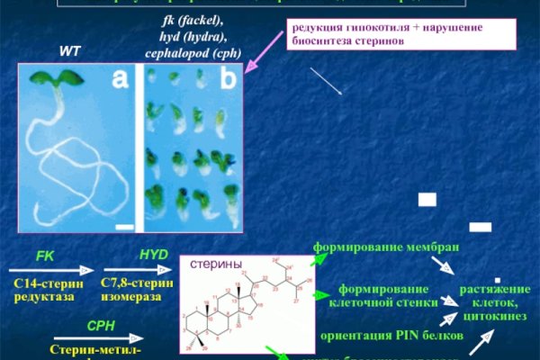 Кракен даркнет актуальная ссылка