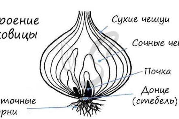 Kraken маркетплейс официальный