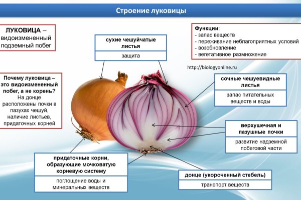 Кракен сайт даркнет ссылка